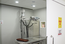통합의학(integrative medicine)에 대해 설명하는 그림