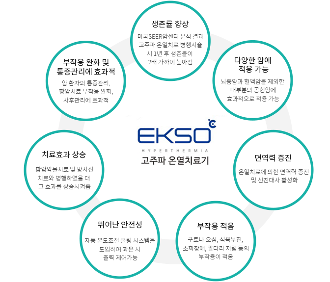 통합의학(integrative medicine)에 대해 설명하는 그림