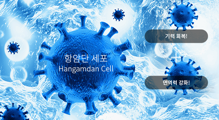통합의학(integrative medicine)에 대해 설명하는 그림