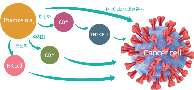 통합의학(integrative medicine)에 대해 설명하는 그림